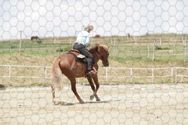 s_K3F06772.JPG